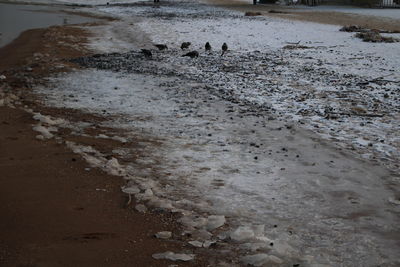 Close-up of beach