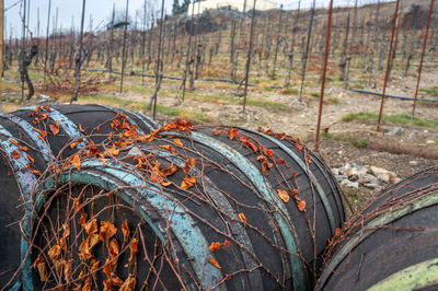 Old rusty wheel on field