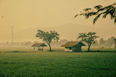 Scenic view of agricultural field against sky