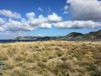 Scenic view of field against sky