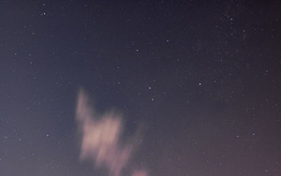 Low angle view of stars in sky at night