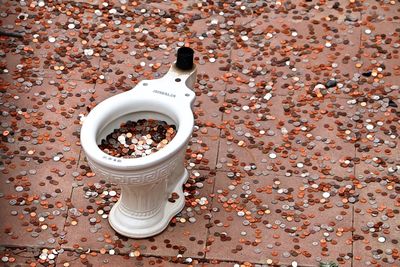 High angle view of coins in toilet bowl and footpath