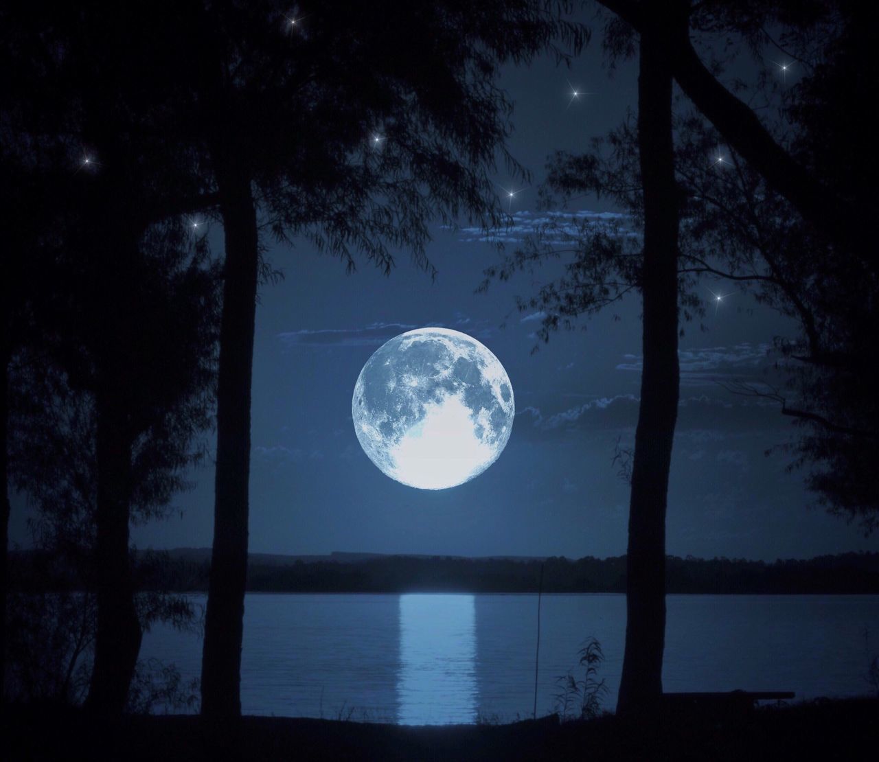 tranquil scene, tranquility, water, scenics, beauty in nature, astronomy, tree, reflection, sky, nature, moon, silhouette, circle, lake, night, idyllic, full moon, dark, majestic, outdoors