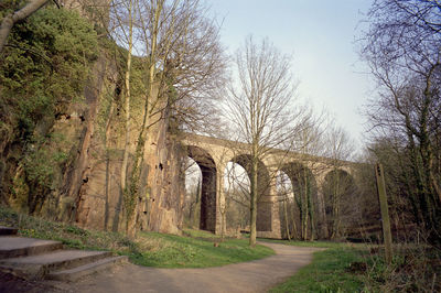 Old building with trees in background