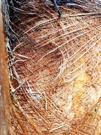 Full frame shot of dried fishing net