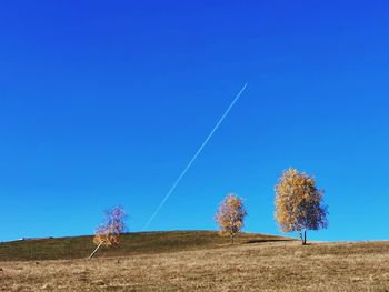 Trees on field against clear blue sky