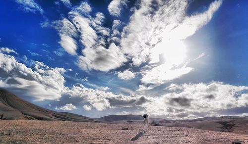 Scenic view of desert against blue sky