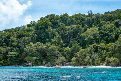 Scenic view of sea against trees