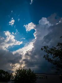 Low angle view of silhouette trees against sky