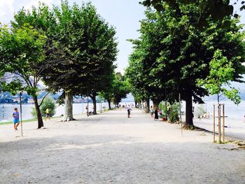 Footpath along trees