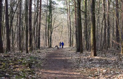 Rear view of man and woman walking in forest