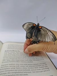 Person holding butterfly on book
