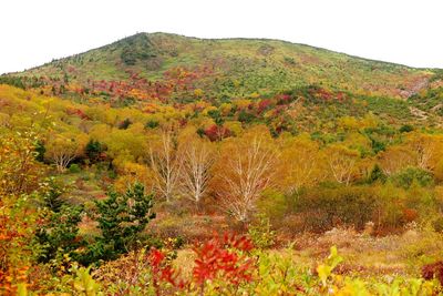 Scenic view of mountain against sky during autumn