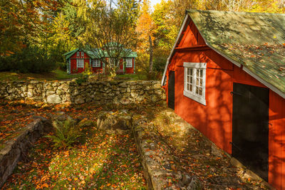 House amidst trees and plants during autumn