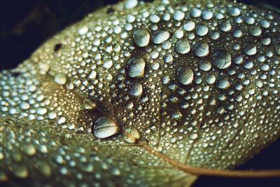 Close-up of water