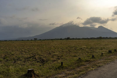 Scenic view of field against sky