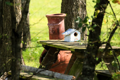 Close-up of wooden post on tree trunk