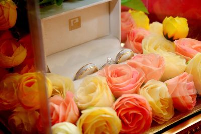 High angle view of roses on display