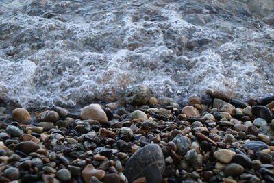 Surface level of stones on beach