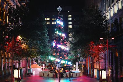 Illuminated christmas tree at night