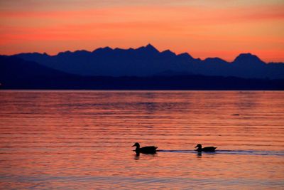 Silhouette people on lake against orange sky