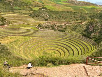 Scenic view of agricultural field