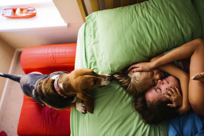 Overhead view of dog looking at mother and daughter embracing on bed at home