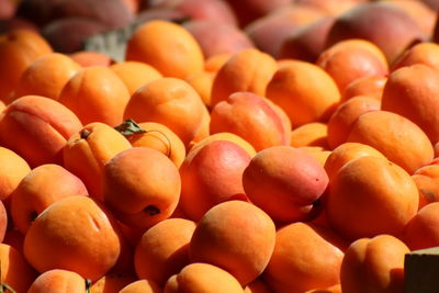 Full frame shot of apricot fruit
