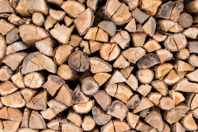 Full frame shot of logs in forest