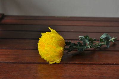 Close-up of yellow rose flower vase on table