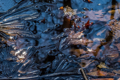 High angle view of ice melting in pond