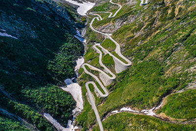 High angle view of road amidst trees