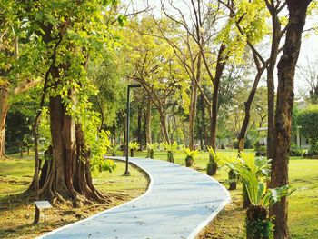 Road amidst trees on landscape