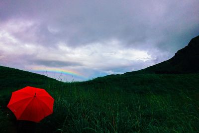 Scenic view of field against sky