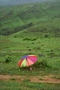 View of umbrella on field