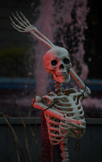 Artificial skeleton during halloween outdoors 