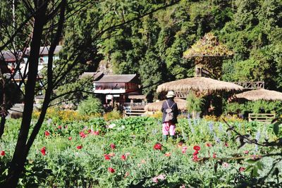 Scenic view of flowering plants and trees by house