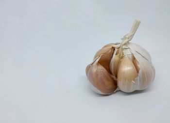 Close-up of garlic on white background