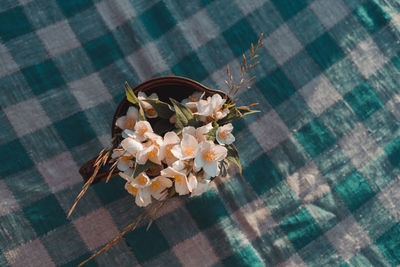 High angle view of flowering plant on table