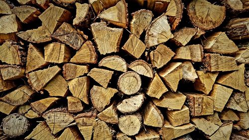 Full frame shot of logs in forest