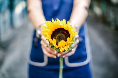 Low section of person holding yellow flower