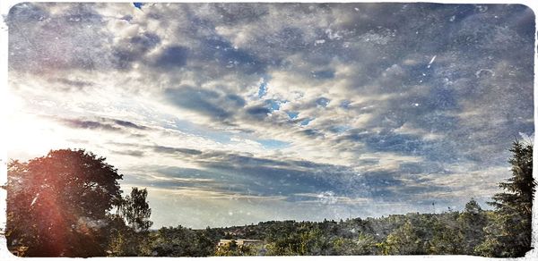 Scenic view of trees against sky