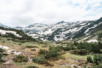 Spring landscape in pirin mountain near okoto lake, bulgaria