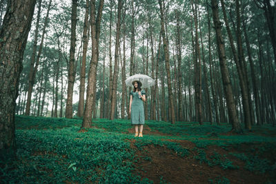 Man standing by trees in forest