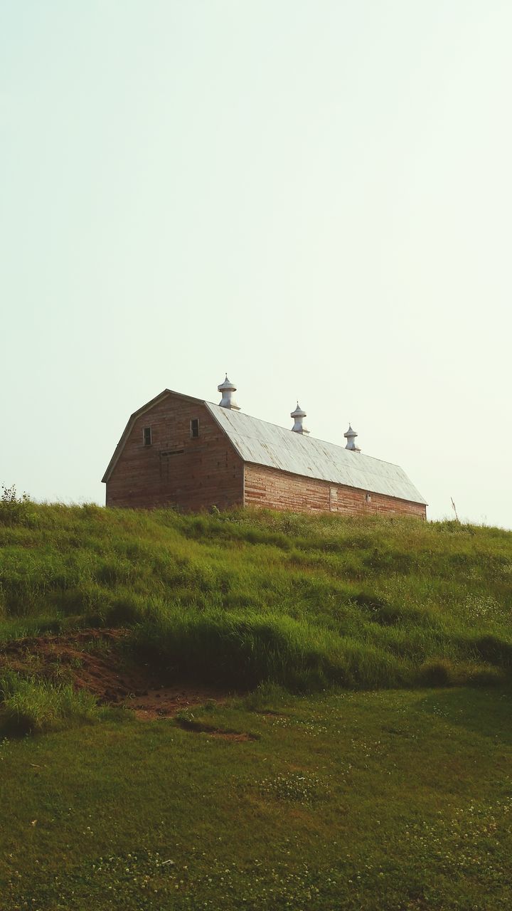 architecture, built structure, clear sky, grass, building exterior, copy space, history, landscape, field, green color, grassy, nature, bird, animal themes, tree, day, outdoors, sky, tranquility, travel destinations