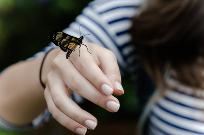 Close-up of butterfly on woman