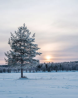 Snow on field against sky during sunset