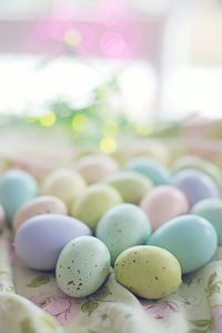 Close-up of eggs on table