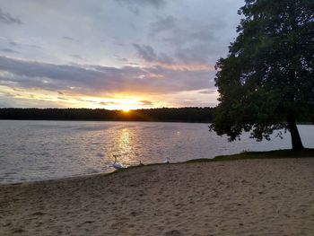 Scenic view of beach against sky during sunset