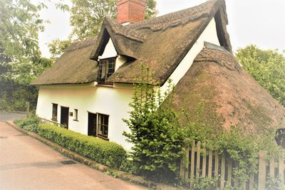 Low angle view of cottage amidst trees and building